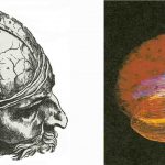Представления об организме и мозге менялись, по мере того как ученые овладевали новыми методами исследования